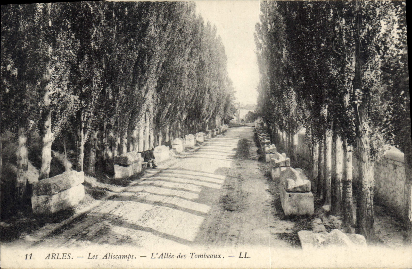 CPA Arles Les Aliscamps L'Allee des Tombeaux 