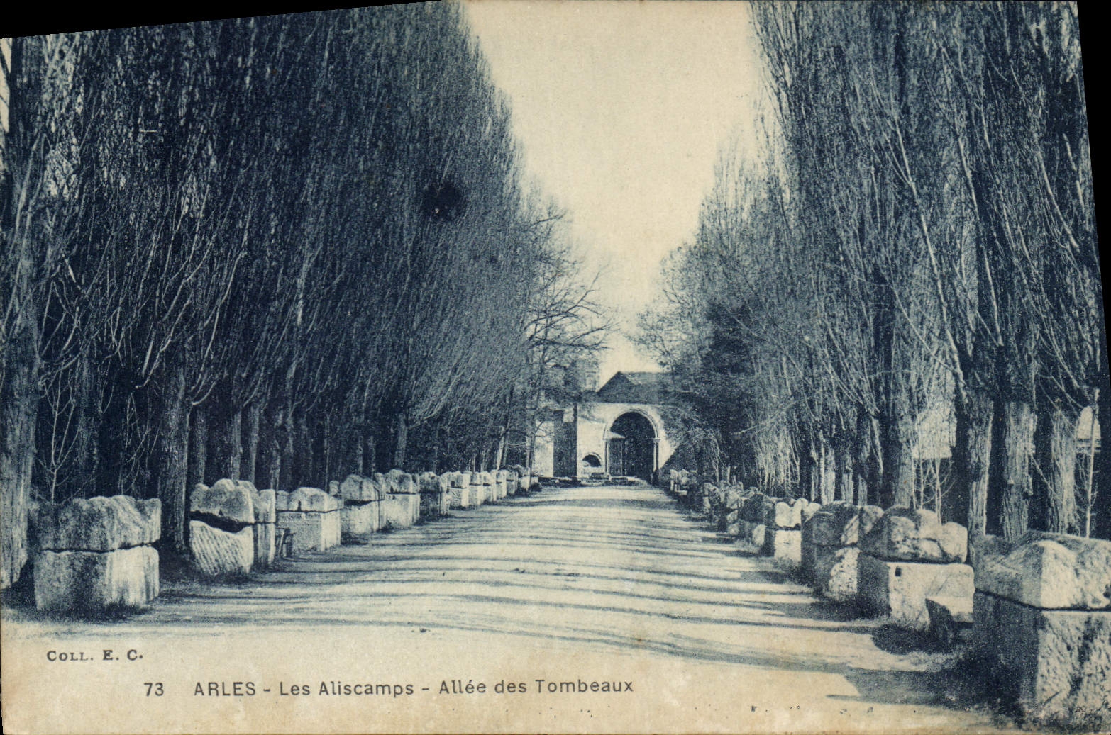 CPA Arles Les Alyscamps L'Allee des Tombeaux