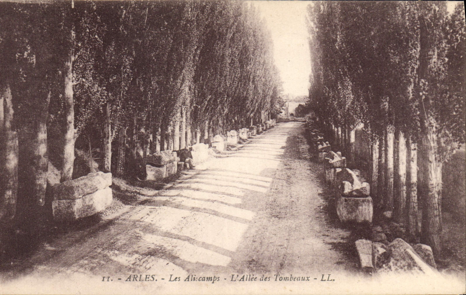 CPA Arles Les Aliscamps L'Allee des Tombeaux 