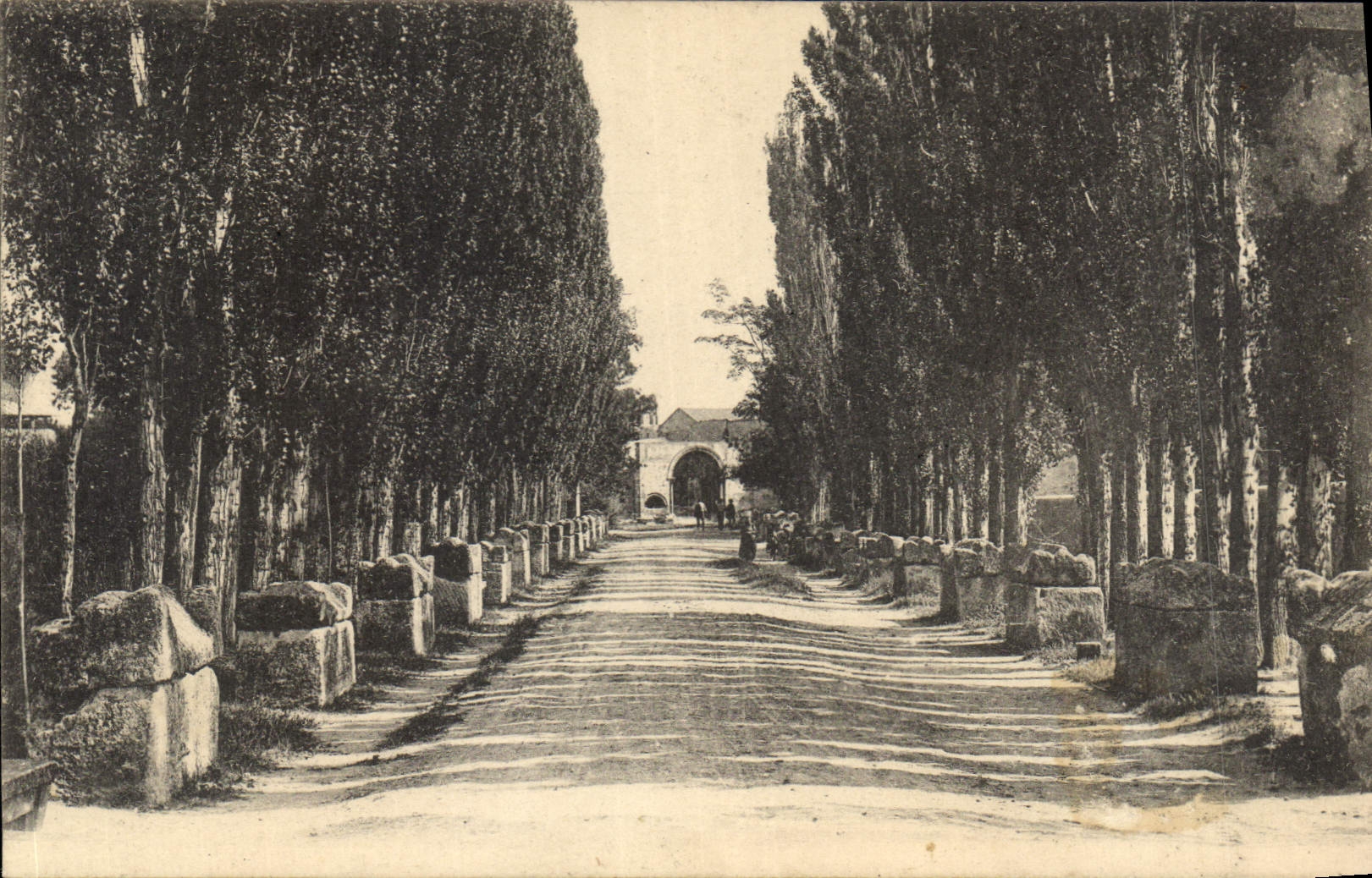 CPA Arles Les Aliscamps 