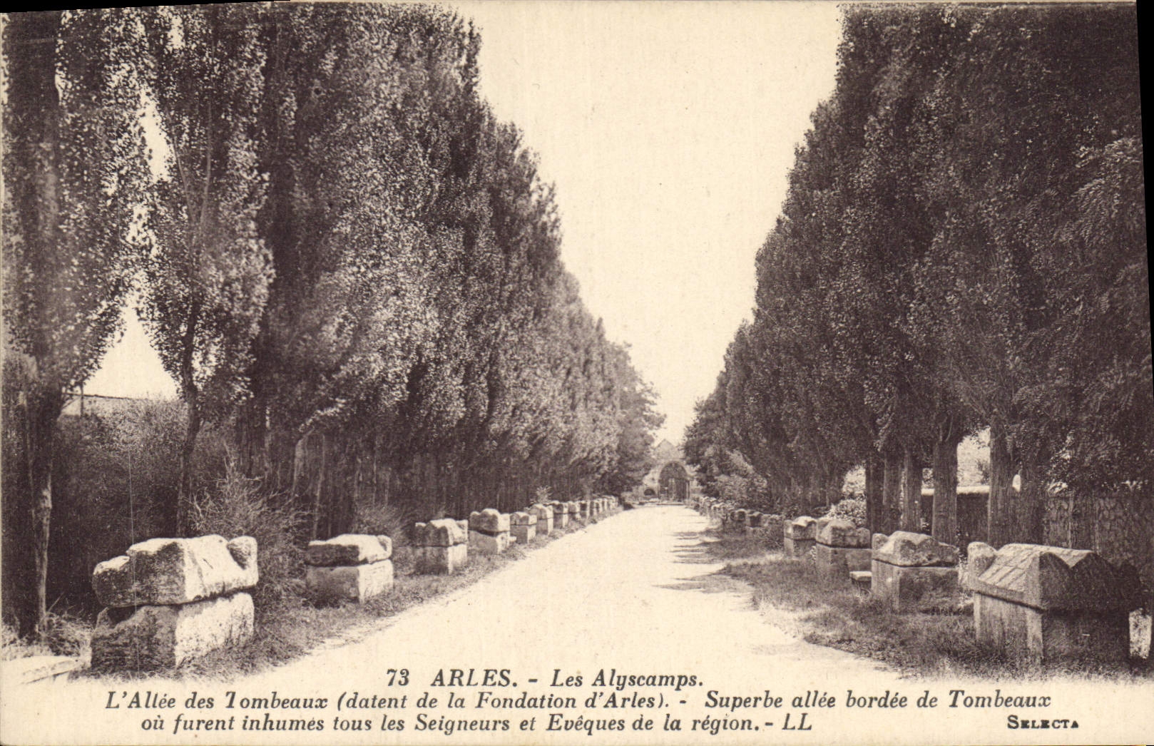 CPA Arles Les Alyscamps L'Allee des Tombeaux 