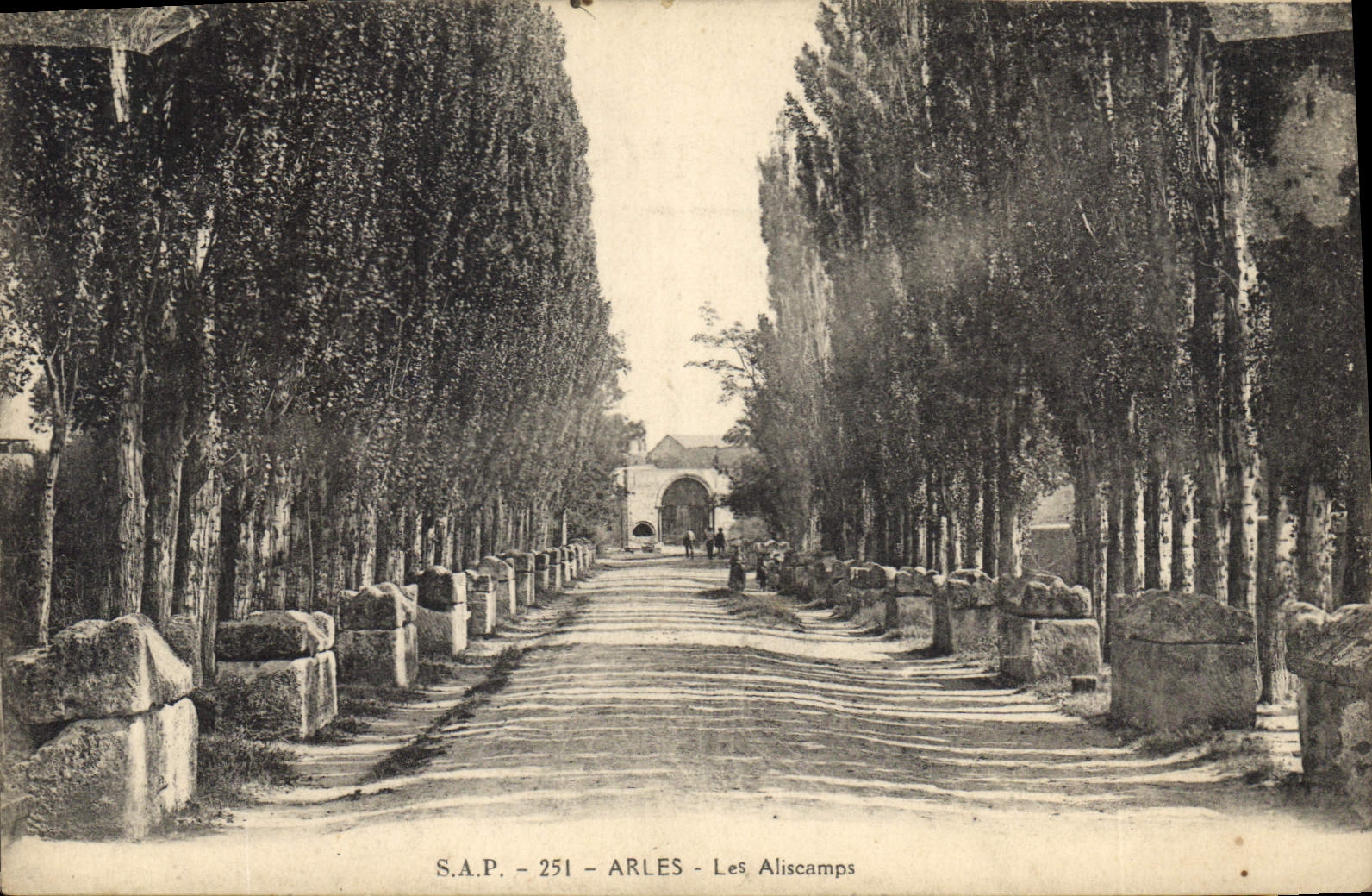 CPA Arles Les Aliscamps 