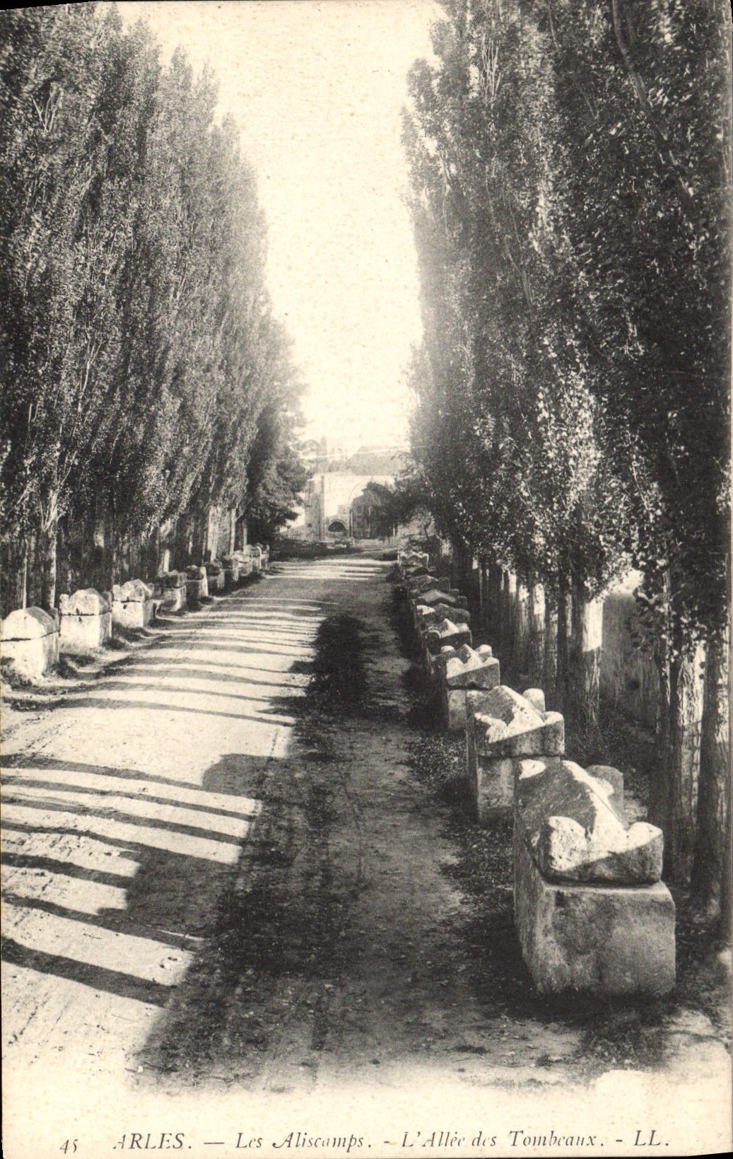 CPA Arles Les Alyscamps L'Allee des Tombeaux