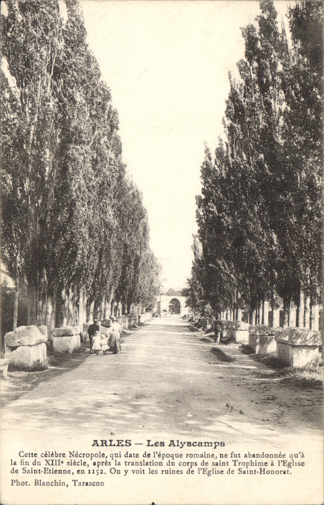 CPA Arles Les Alyscamps 