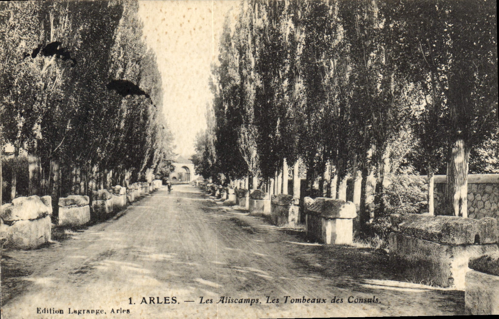 CPA Arles Les Aliscamps Les Tombeaux des Consuls 