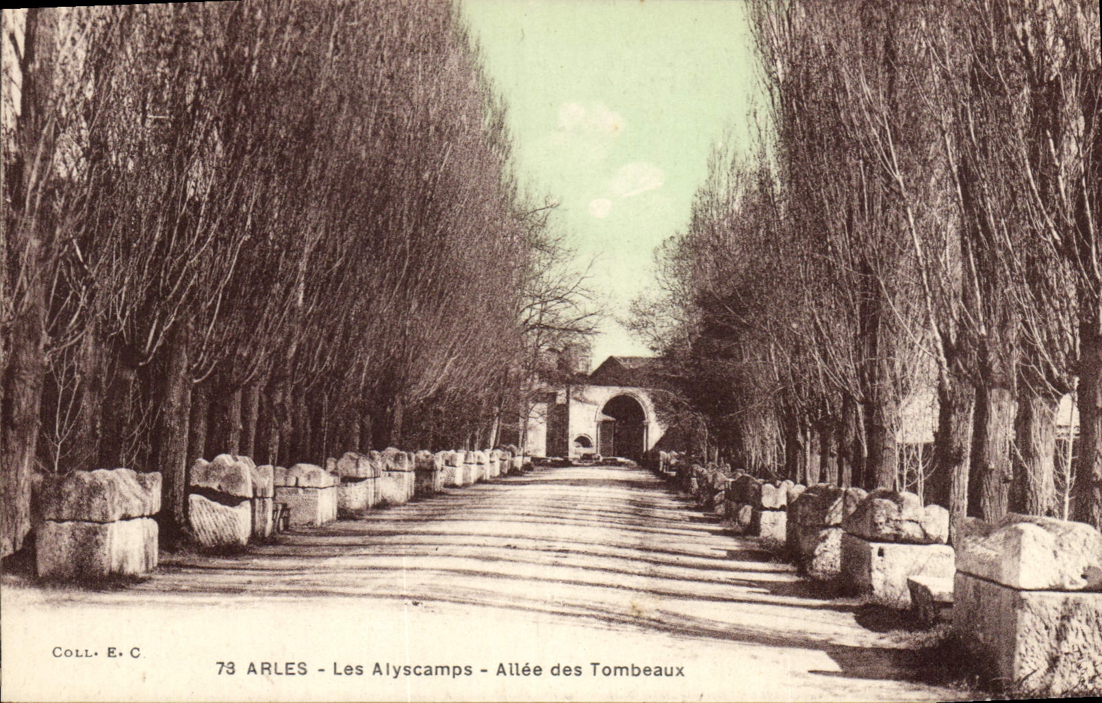 CPA Arles Les Alyscamps Allee des Tombeaux 
