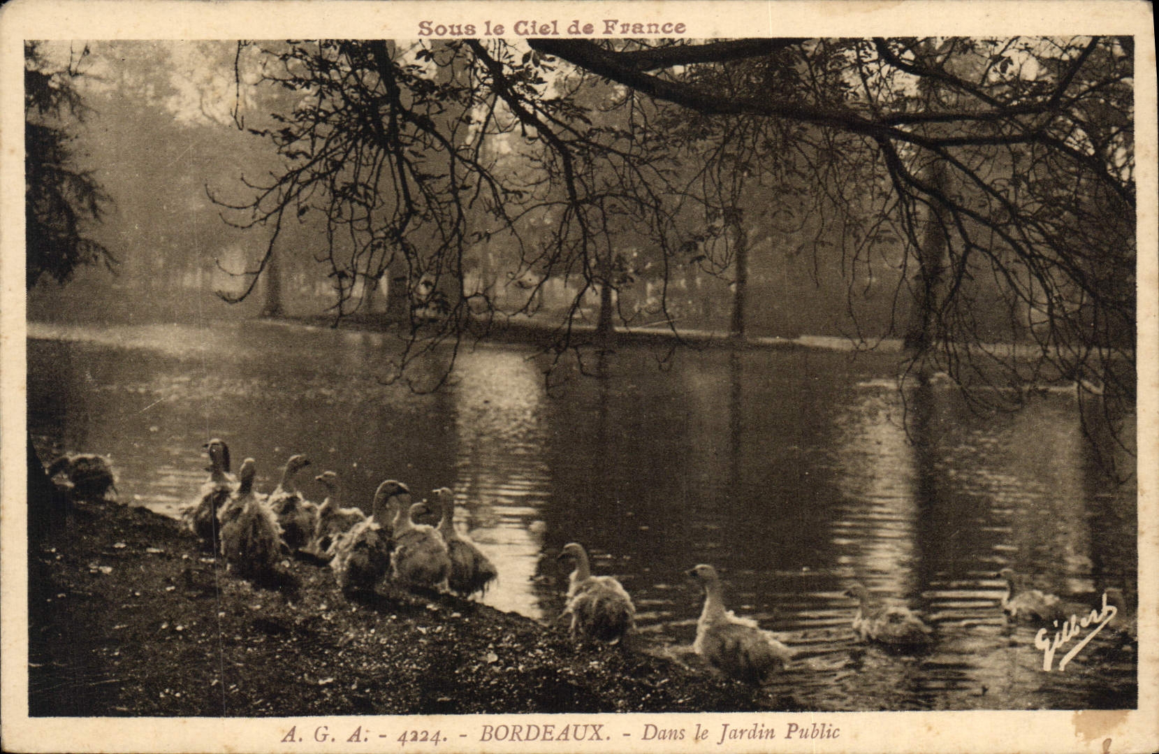 CPA Bordeaux Dans le Jardin Public 