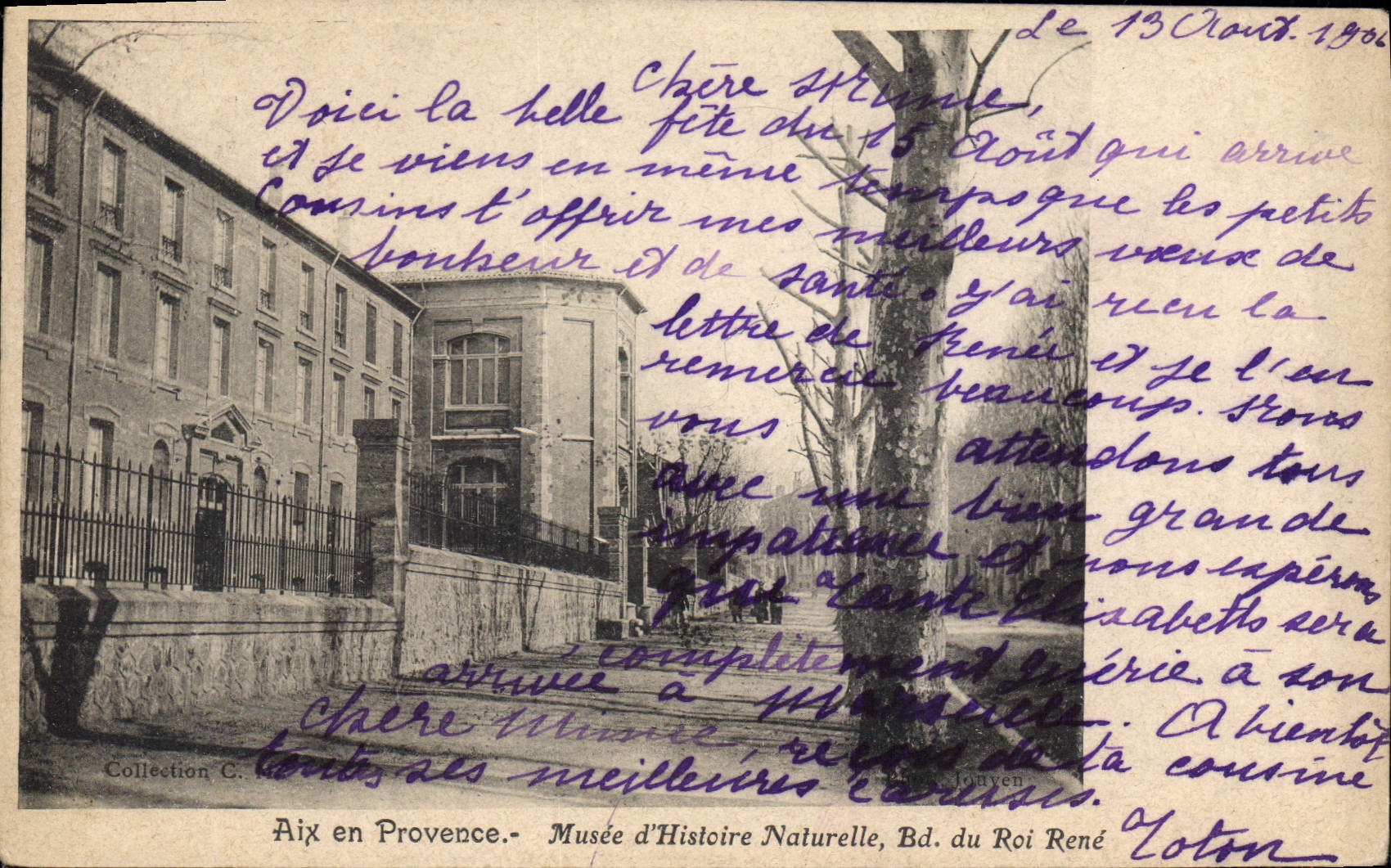 CPA Aix en Provence Musee d'Histoire Naturelle BD du Roi Rene 