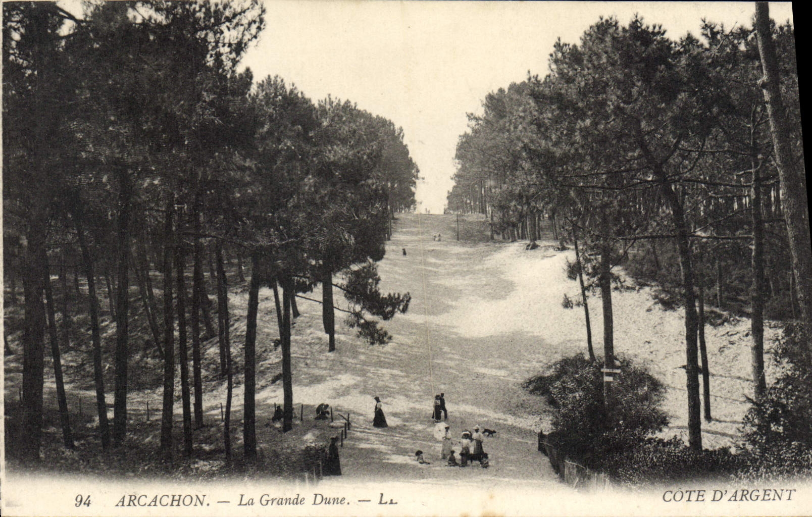 CPA Arcachon la Grande Dune 