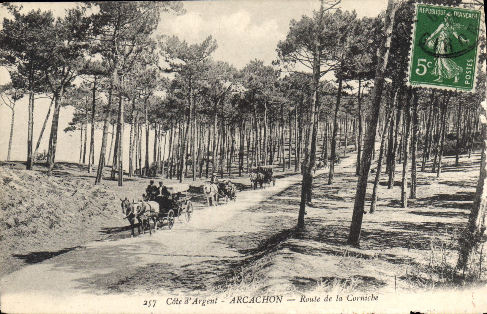 CPA Cote d'Argent Arcachon route de la Corniche Attelages Chevaux
