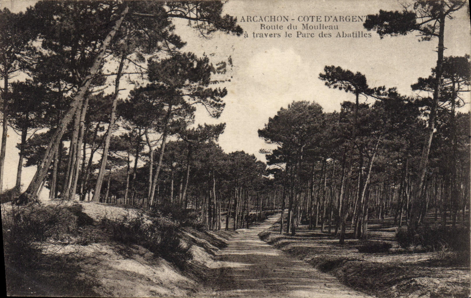 CPA Arcachon Cote d'Argent route du Moulleau a travers le Parc des Abatilles 