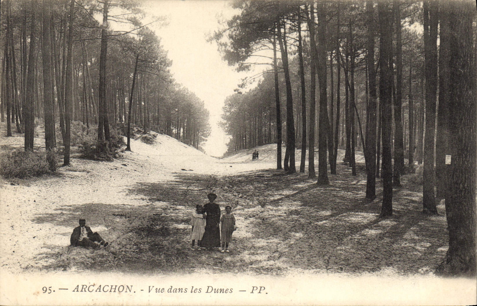 CPA Arcachon Vue dans les Dunes 