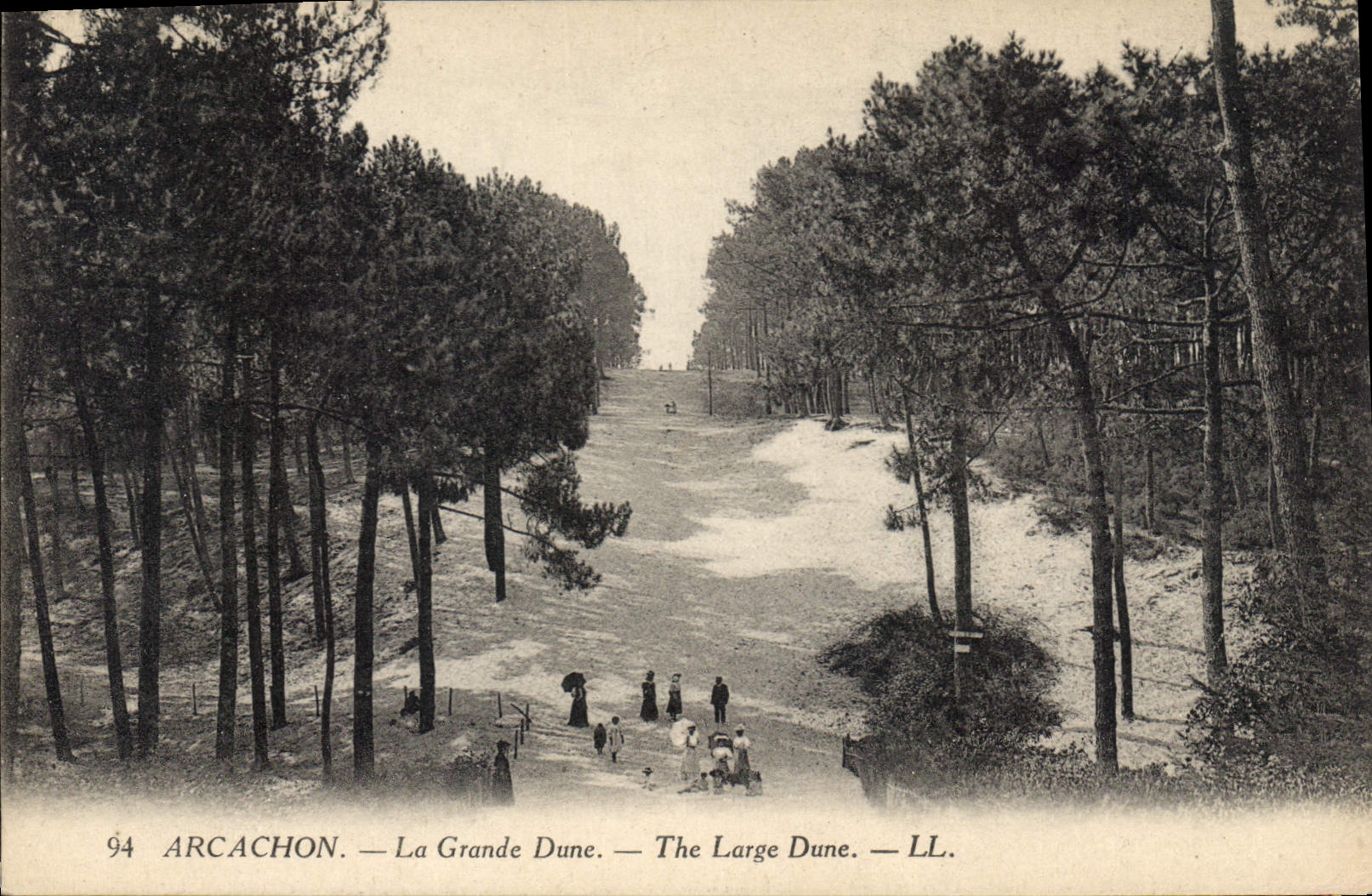CPA Arcachon la Grande Dune 