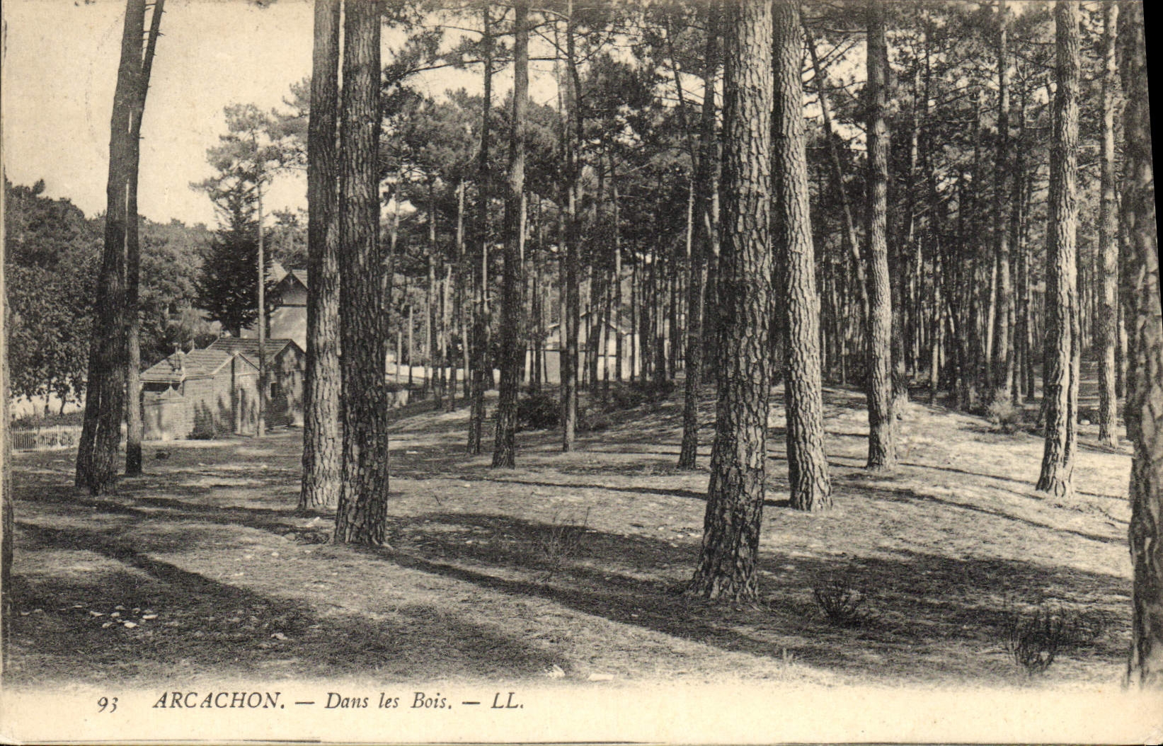 CPA Arcachon Dans les Bois 