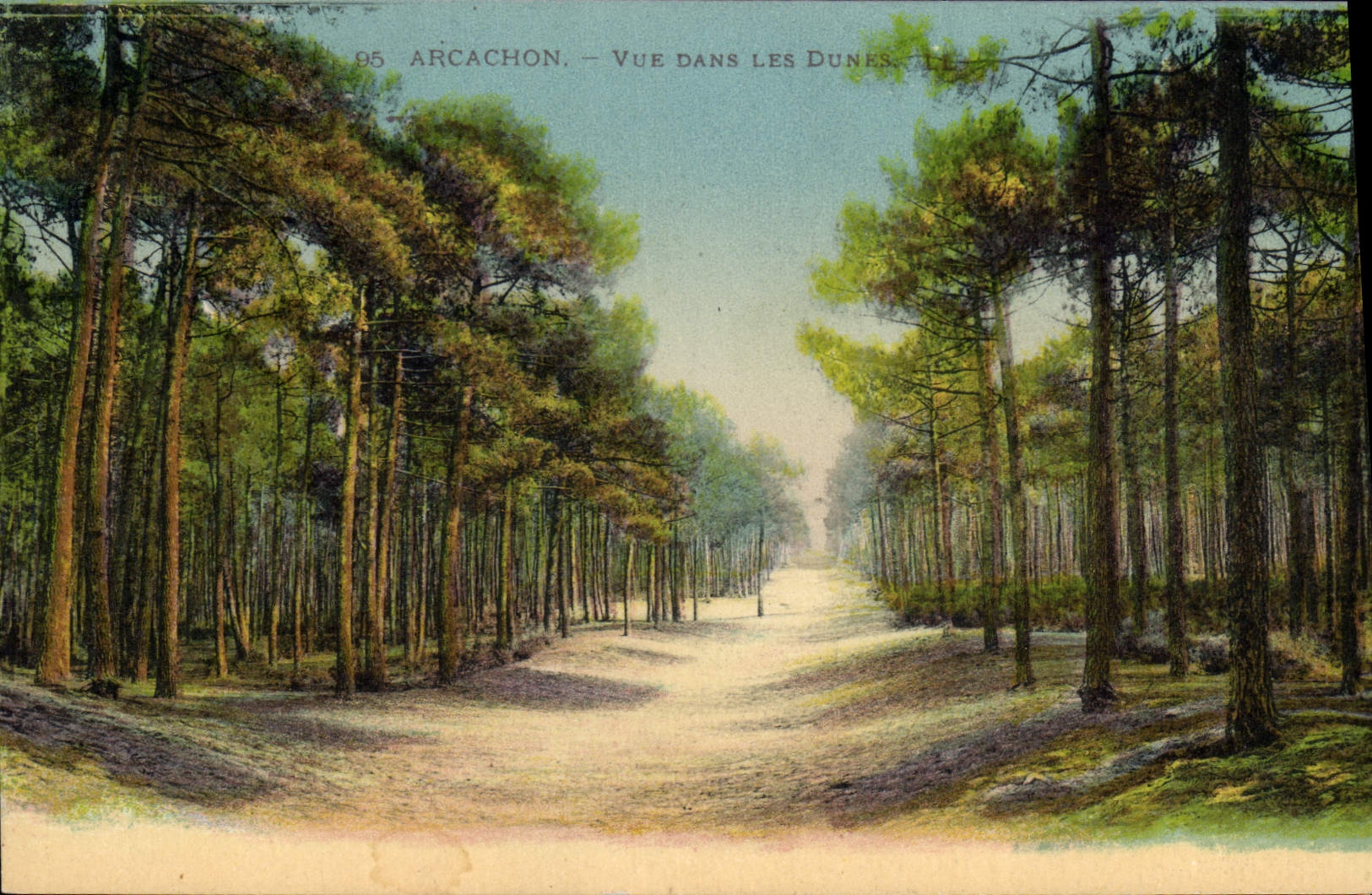 CPA Arcachon vue dans les Dunes 