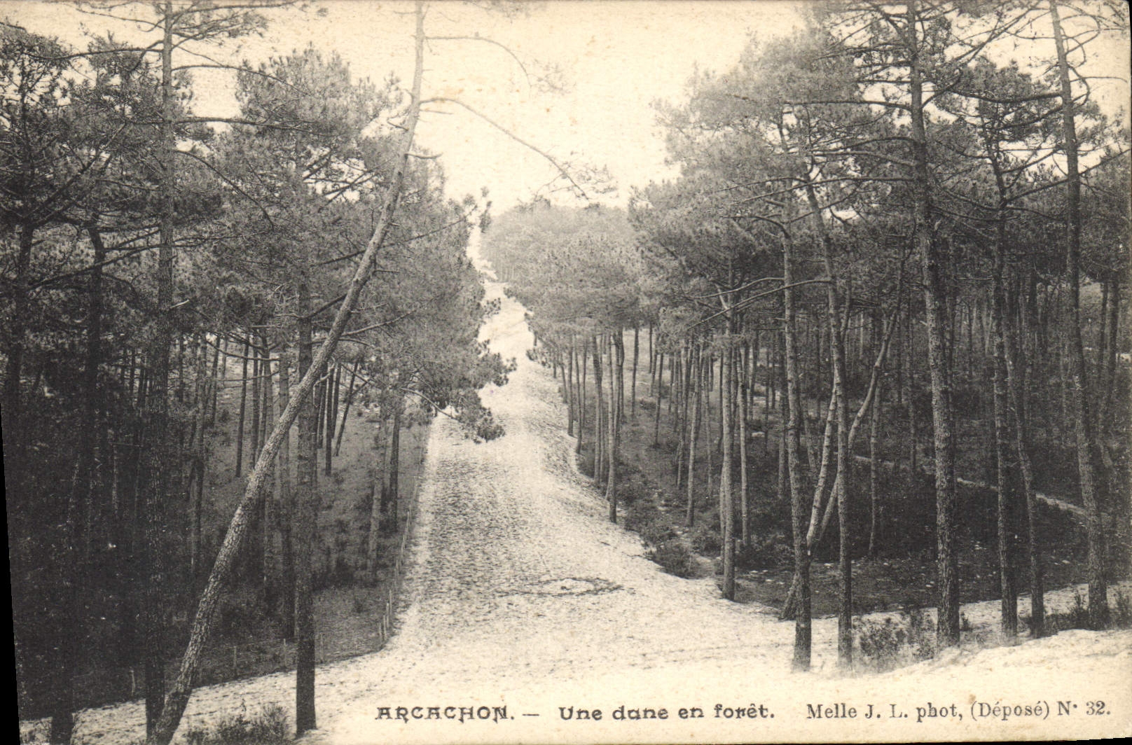 CPA Arcachon une dane en Foret 