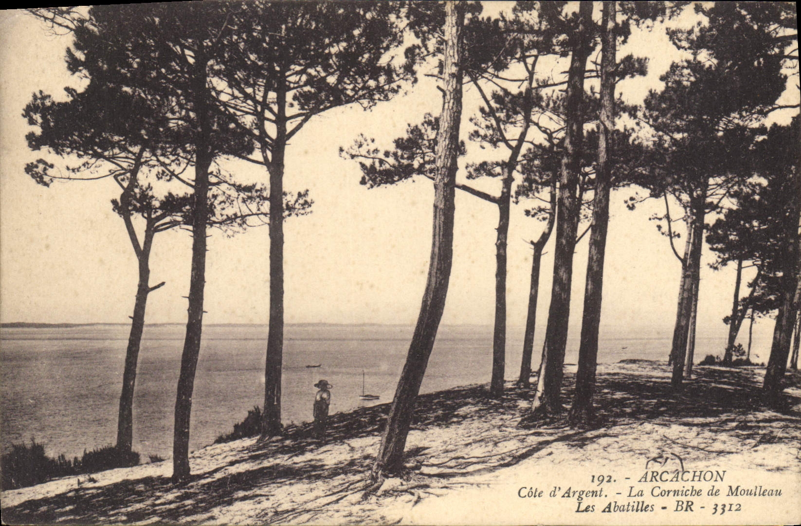 CPA Arcachon Cote d'Argent la Corniche de Moulleau les Abatilles