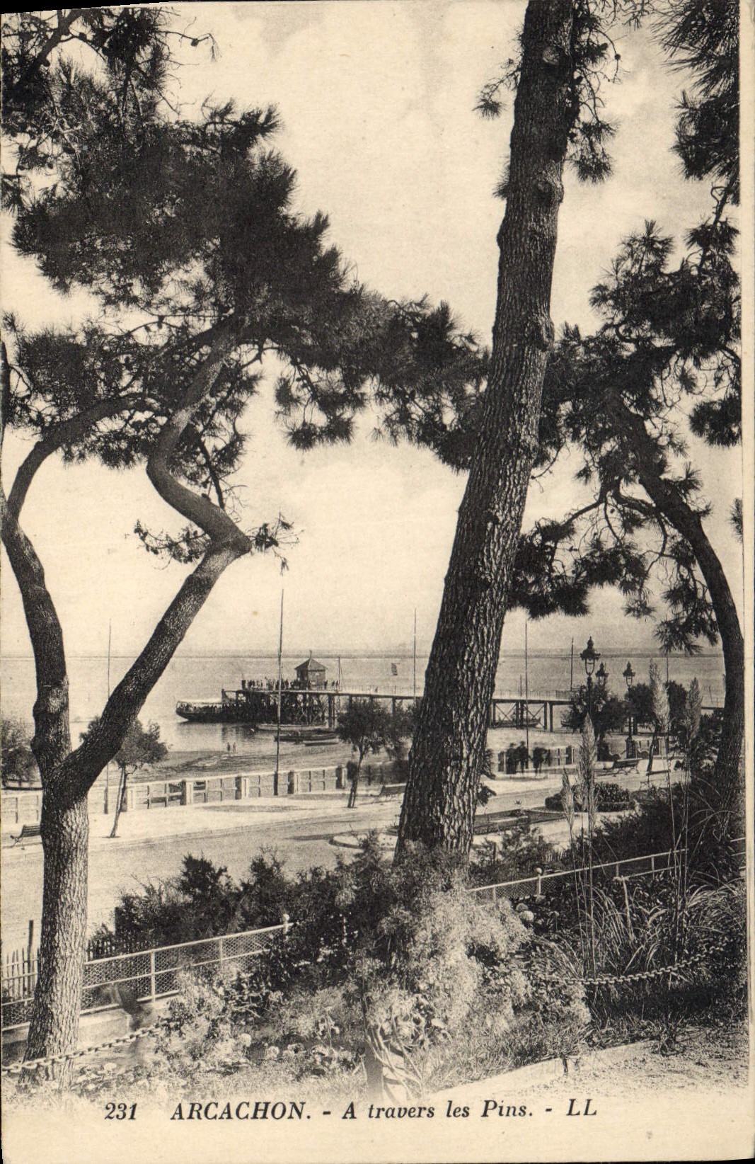 CPA Arcachon a travers les Pins 