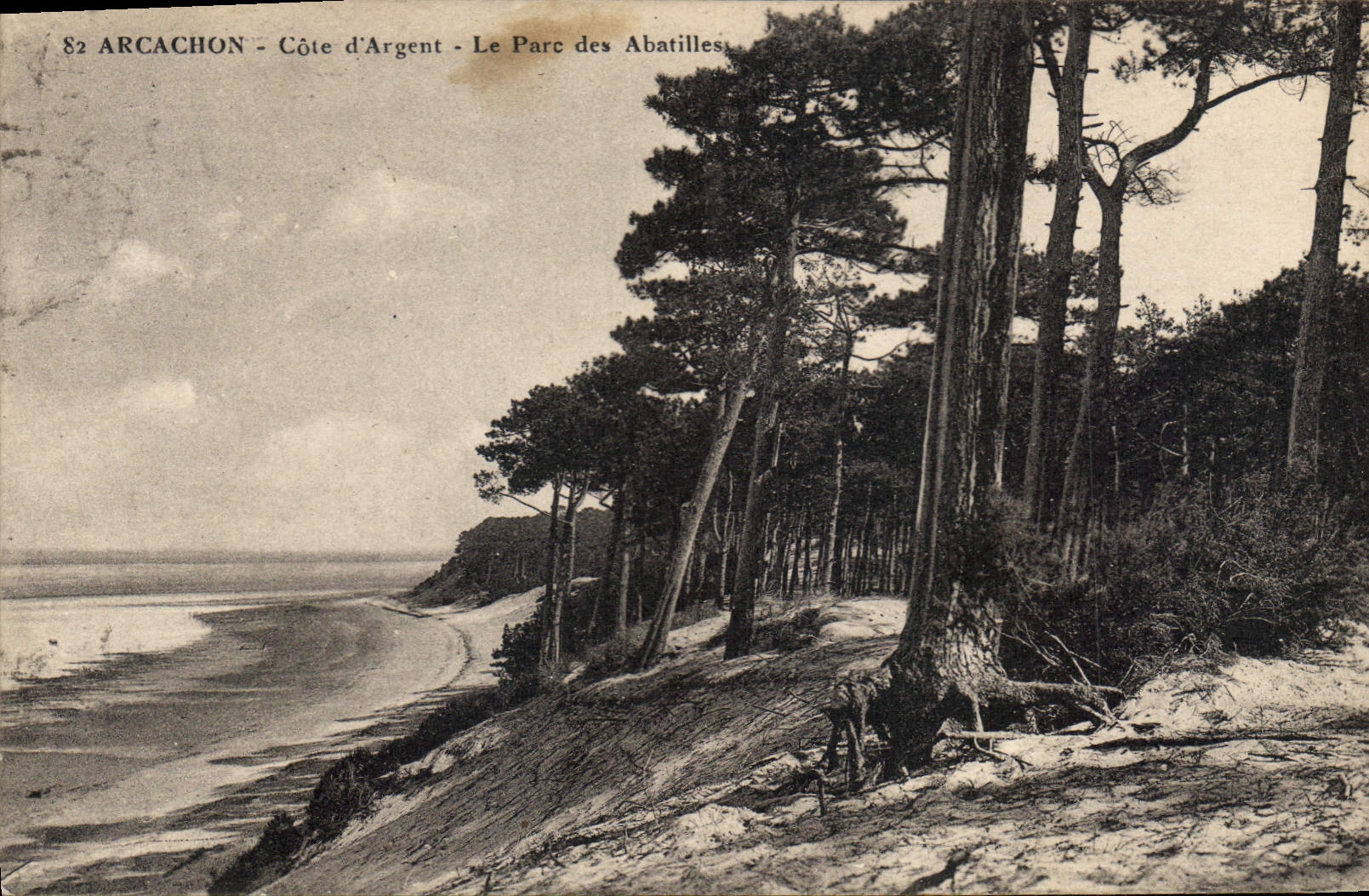 CPA Arcachon Cote d'Argent le Parc des Abatilles 