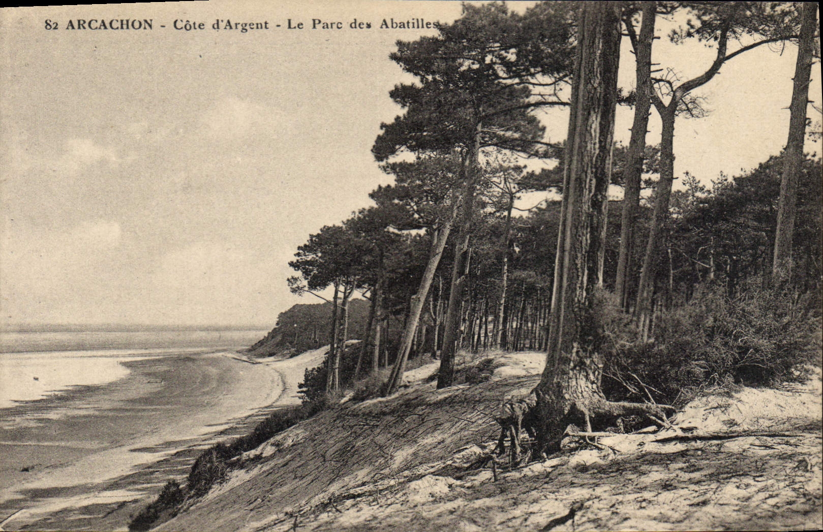 CPA Arcachon Cote d'Agent le Parc des Abatilles 