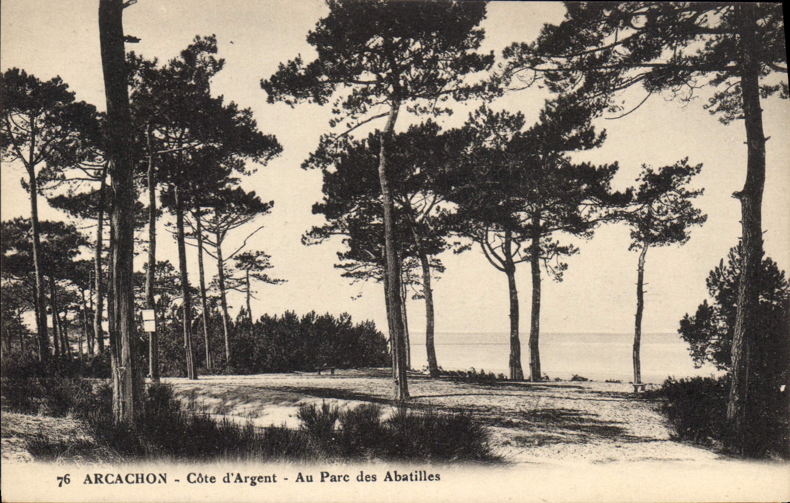 CPA Arcachon Cote d'Argent au Parc des Abatilles 