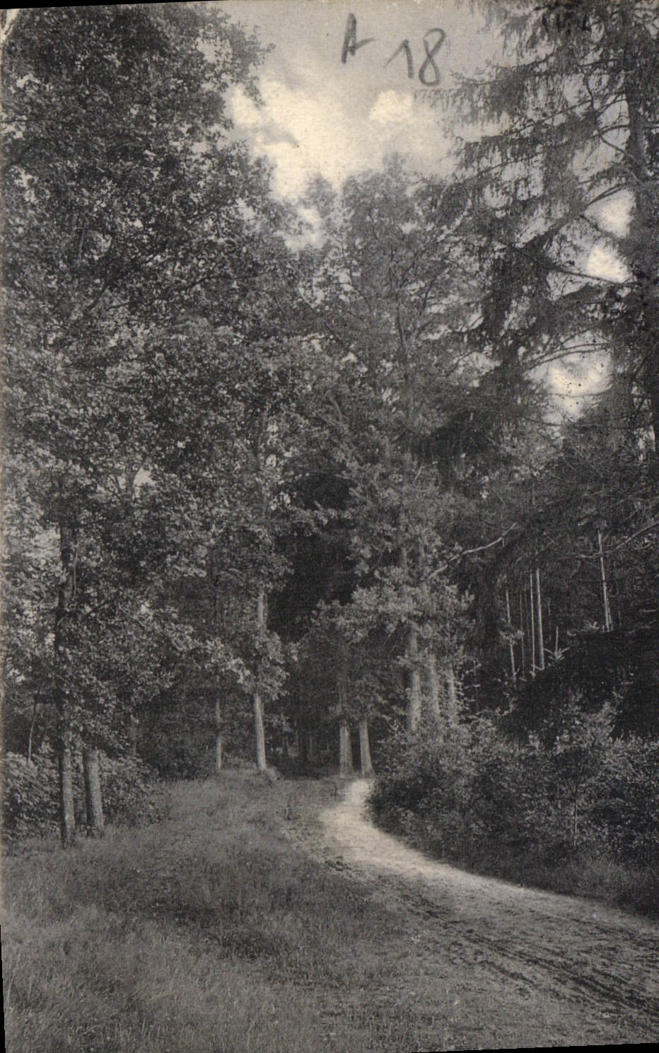 CPA Foret