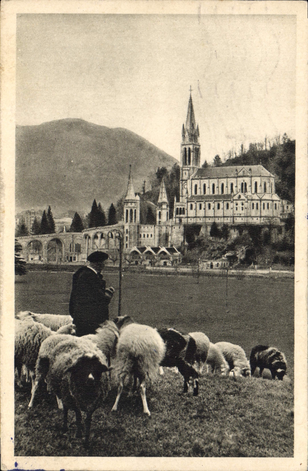 CPA Lourdes La Basilique Berger Moutons