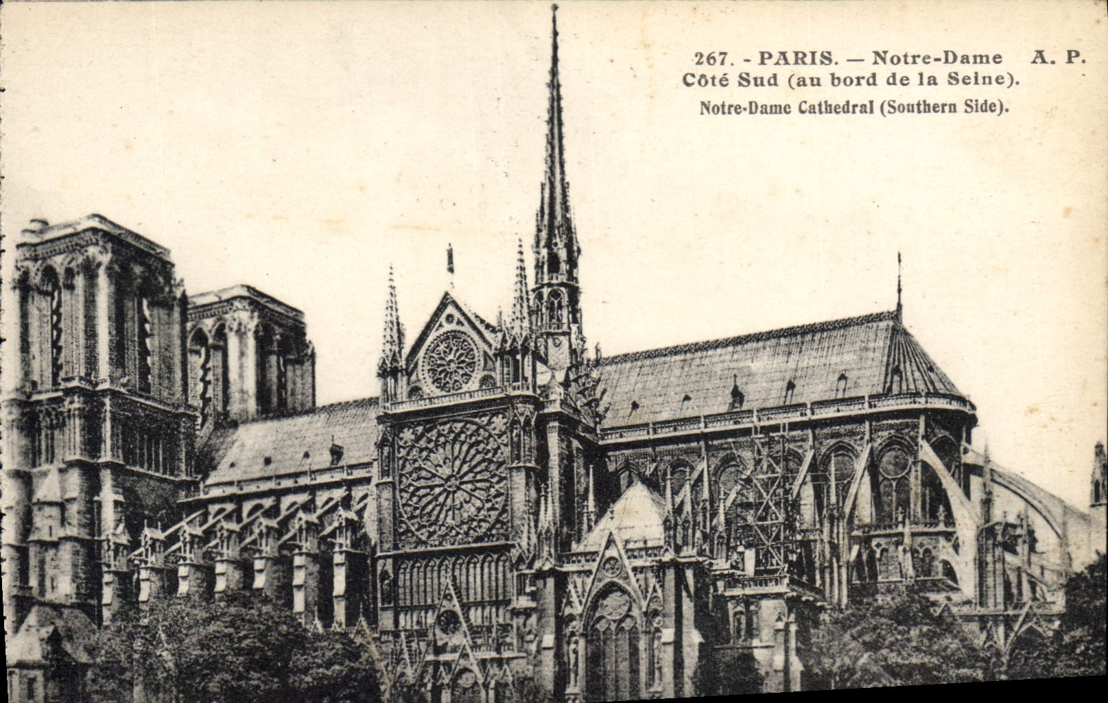 CPA Paris Notre Dame Cote Sud au bord de la Seine