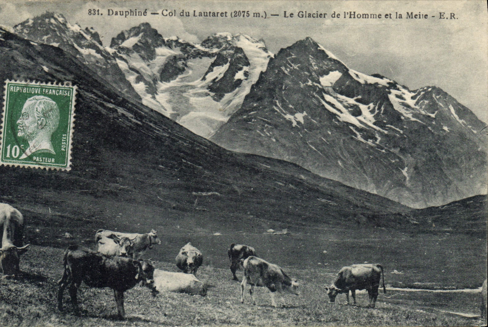 CPA Le Dauphine Col du Lautaret (2075 m) le Glacier de l'Homme et la Meije Vaches