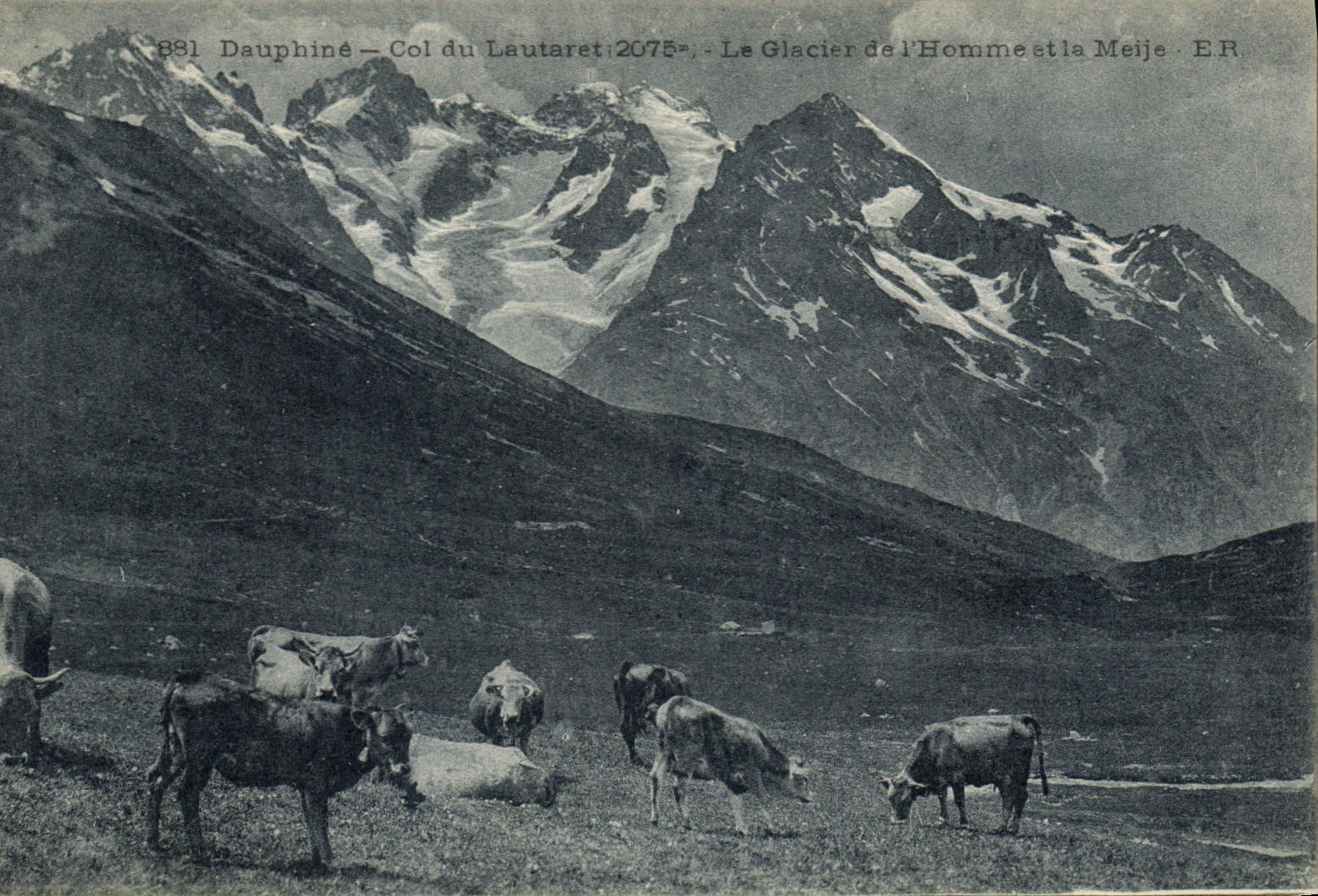 CPA Dauphine Col du Lautaret 2075 m le Glacier de l'Homme et la Meije Vaches