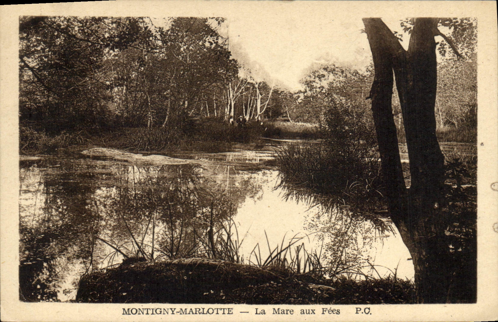 CPA Montigny Marlotte la Mare aux Fees