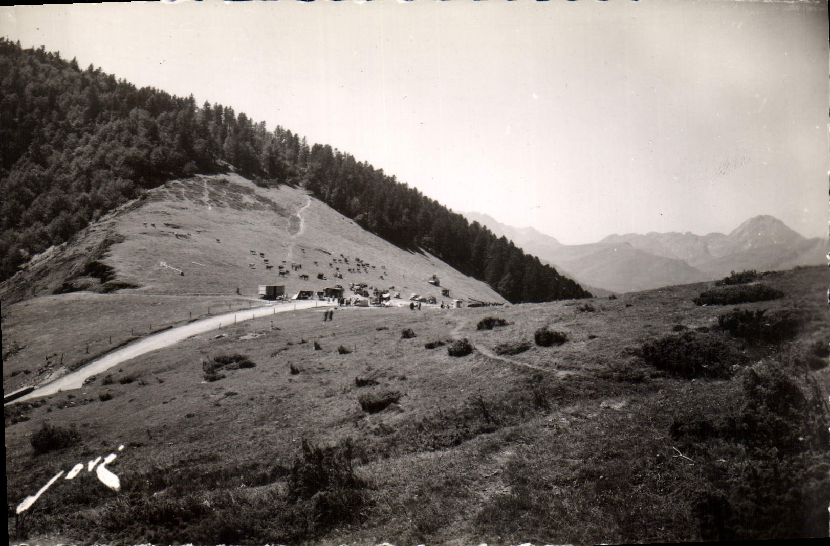 CPA Col d'Aspin (H P) (1488 m) Au fond le Pic du Midi de Bigorre (2877 m)