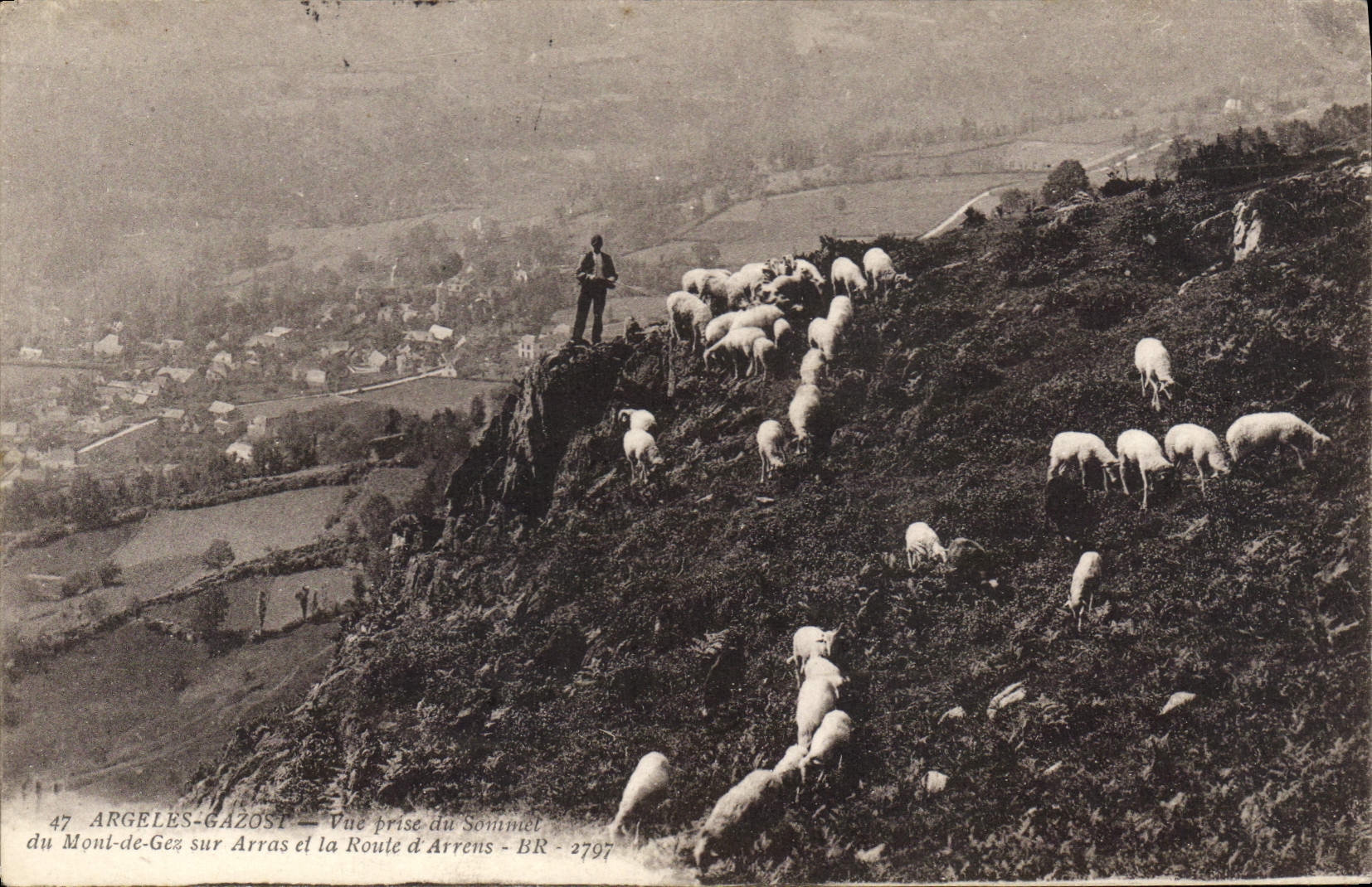 CPA Argeles Gazost Vue prise  du Sommet du Mont de Gez sur Arras et la Route d'Arrens Berger Moutons