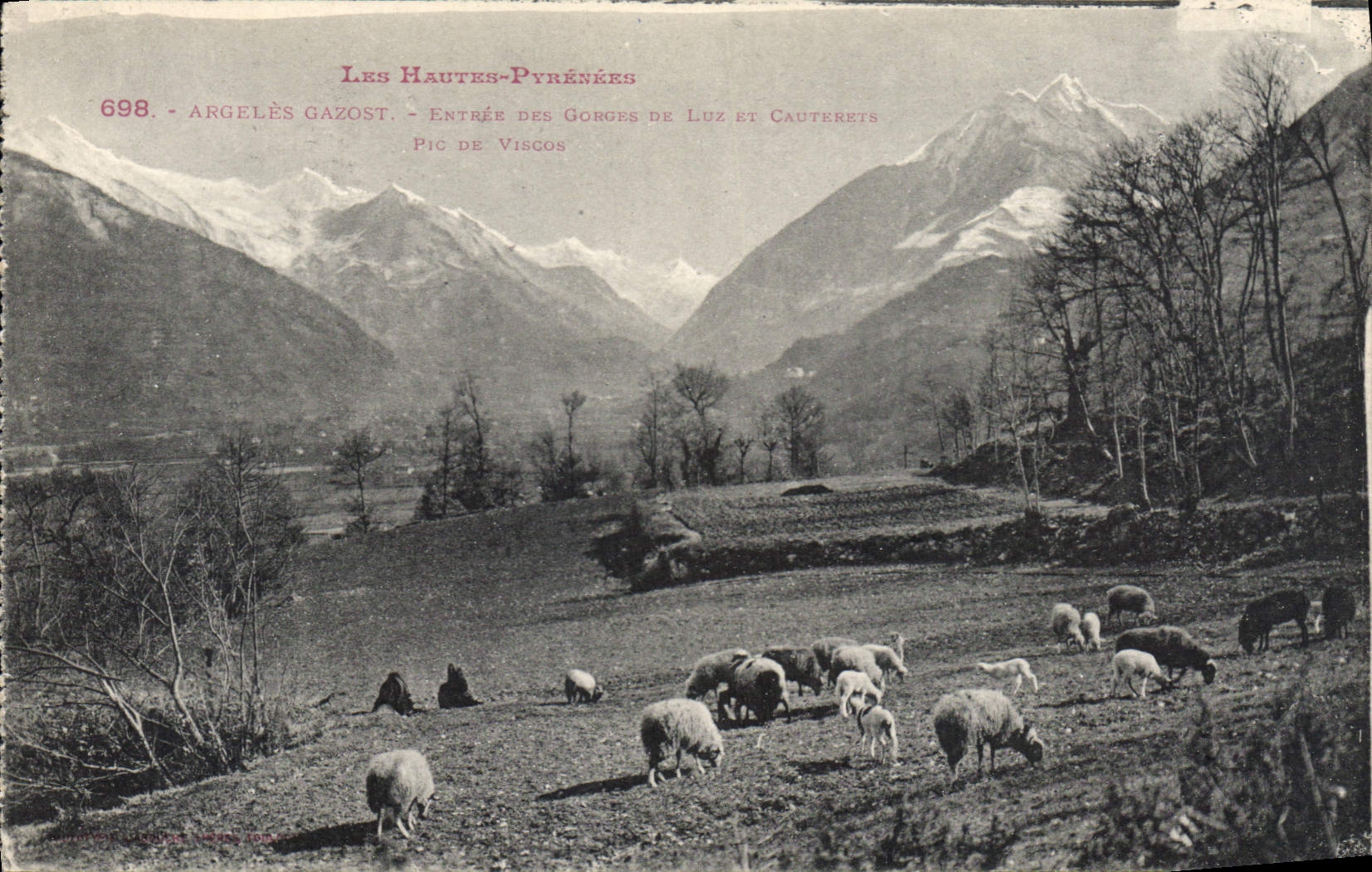 CPA Les Hautes Pyrenees Argeles Gazost Pic de Viscos