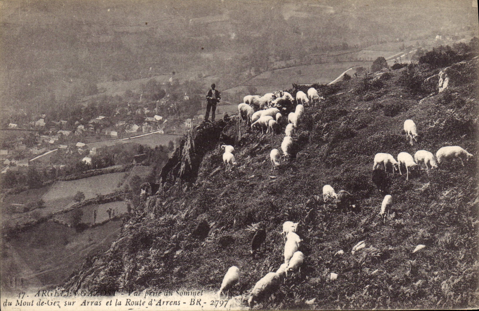 CPA Gazost Val prise du Sommet du Mont de Gez sur Arras et la Route d'Arrens Berger Moutons