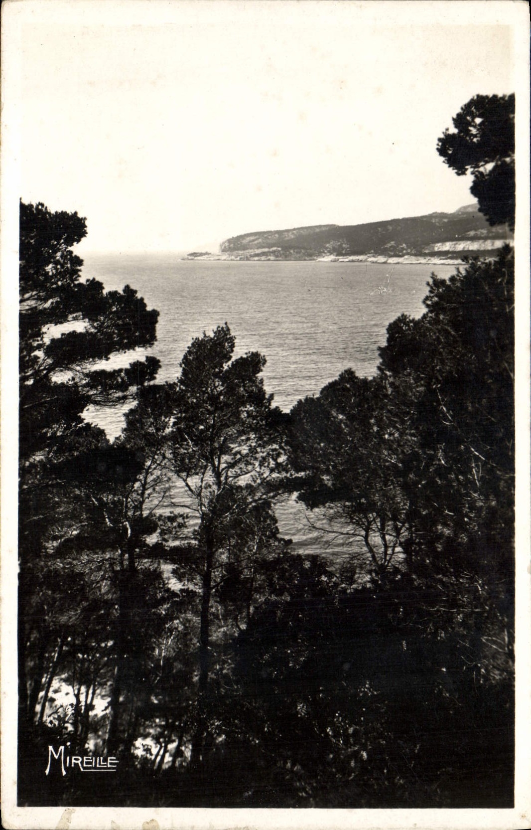 CPA La Cote Provencale Cassis sur Mer le Golfe vue des falaises du Cap Canaille (Lou Revestel)