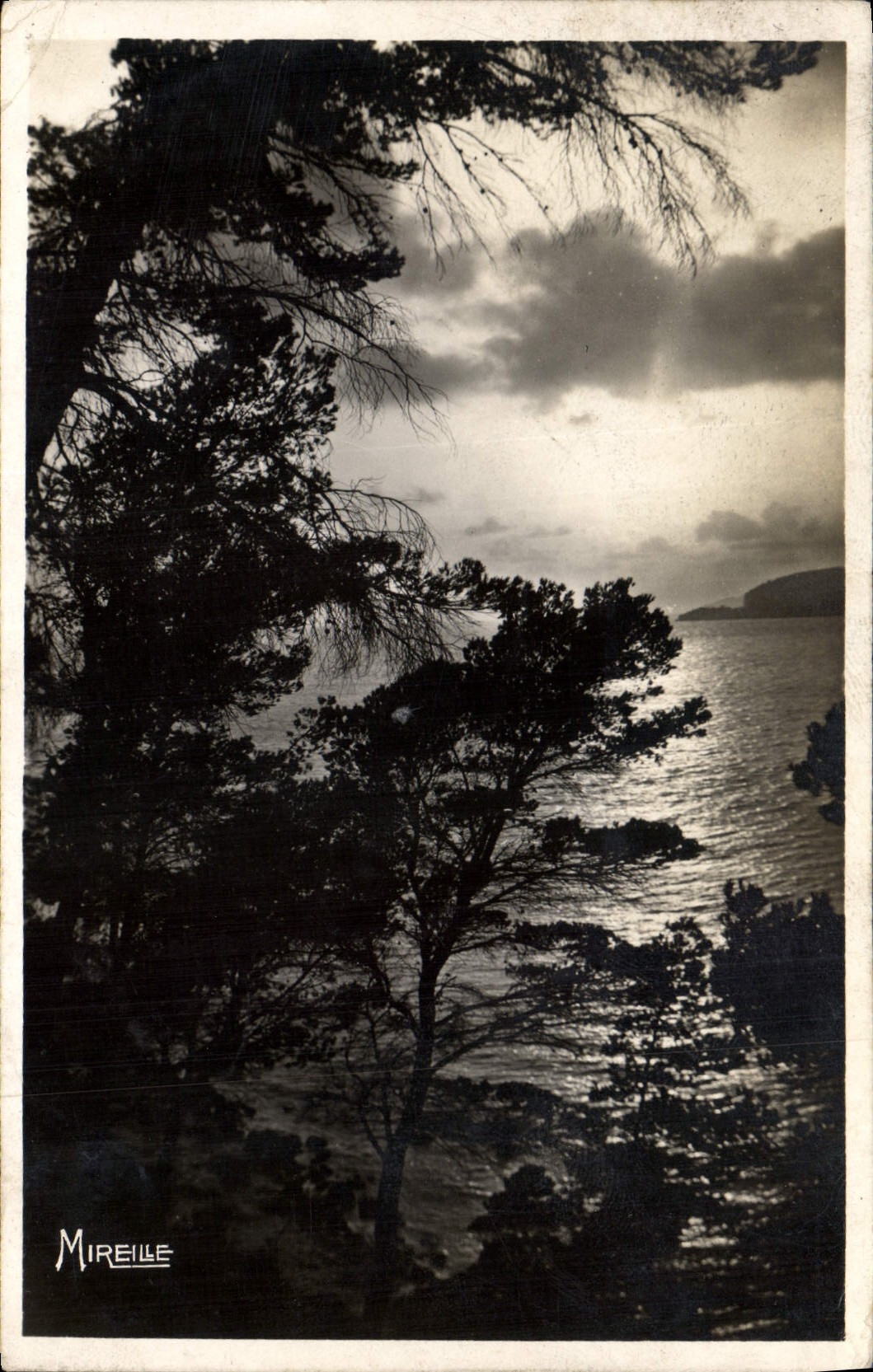 CPA La Cote Provencale Cassis sur Mer Coucher de Soleil sur le golfe vu du Revestel