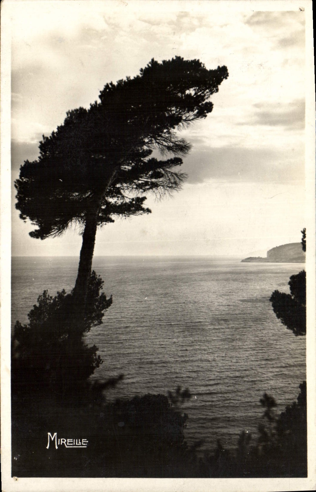 CPA Cassis sur Mer La Cote Provencale Une vue sur la Baie