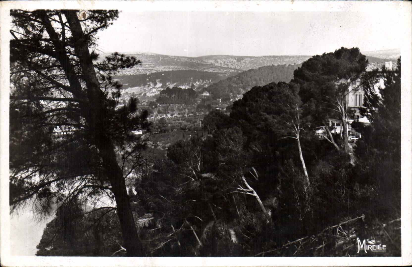 CPA Cassis sur Mer La Cote Provencale Le Prevestel Hotel Pension Restaurant Telephone Dans la Pinede