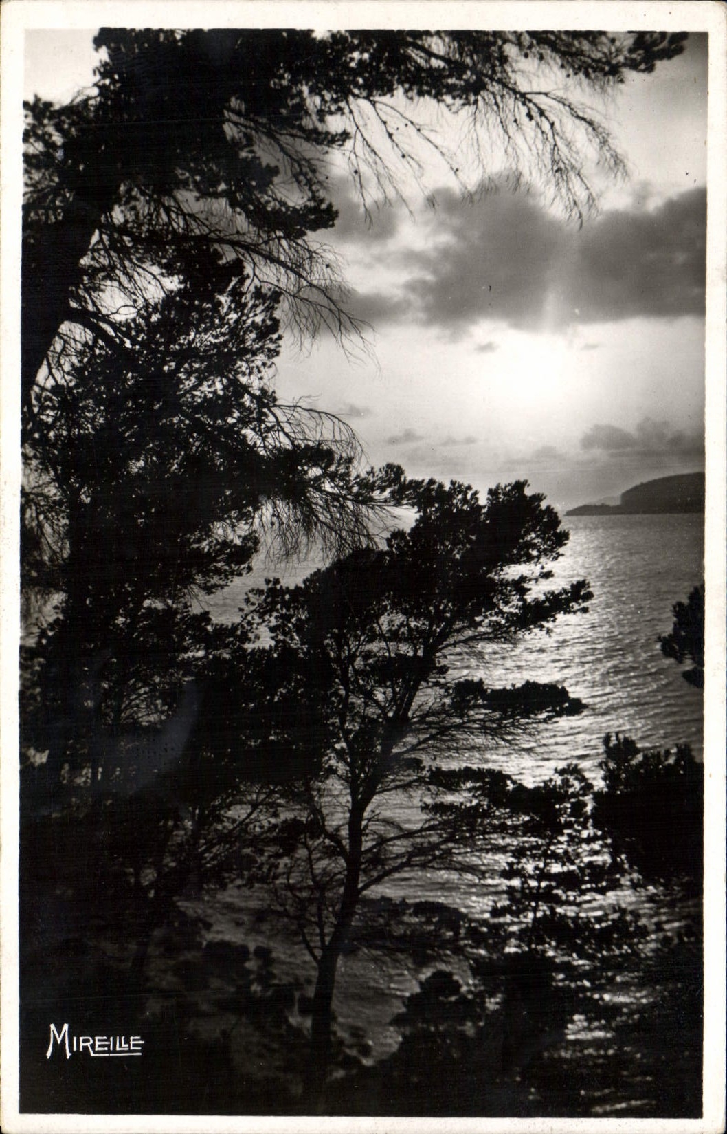 CPA Cassis sur Mer La Cote Provencale Coucher de Soleil sur le golfe vu du Revestel