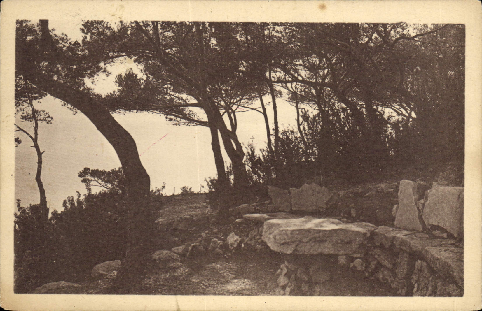 CPA Cassis sur Mer (B du Rh) Les Roches Blanches Hotel Restaurant Tea Room