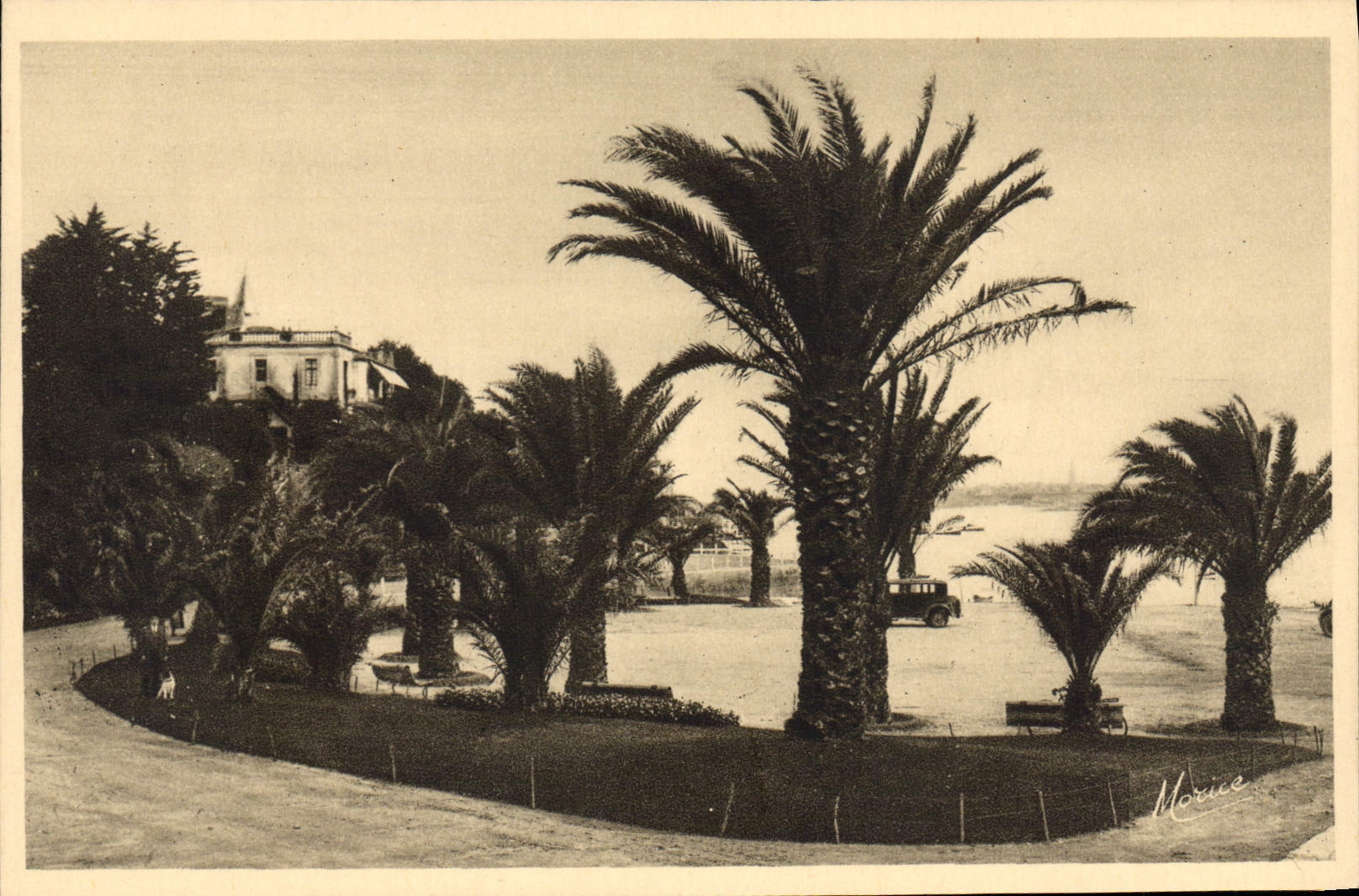 CPA Cote d'Emeraude Dinard (Bretagne) La Palmoraie