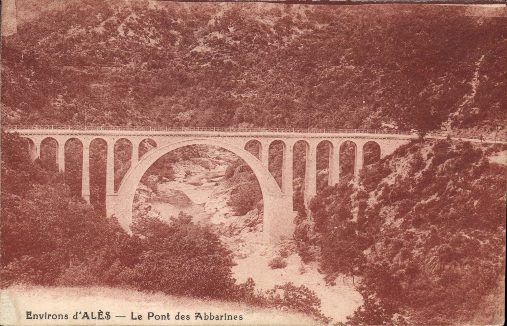 CPA Environs d'Ales Le Pont des Abbarines