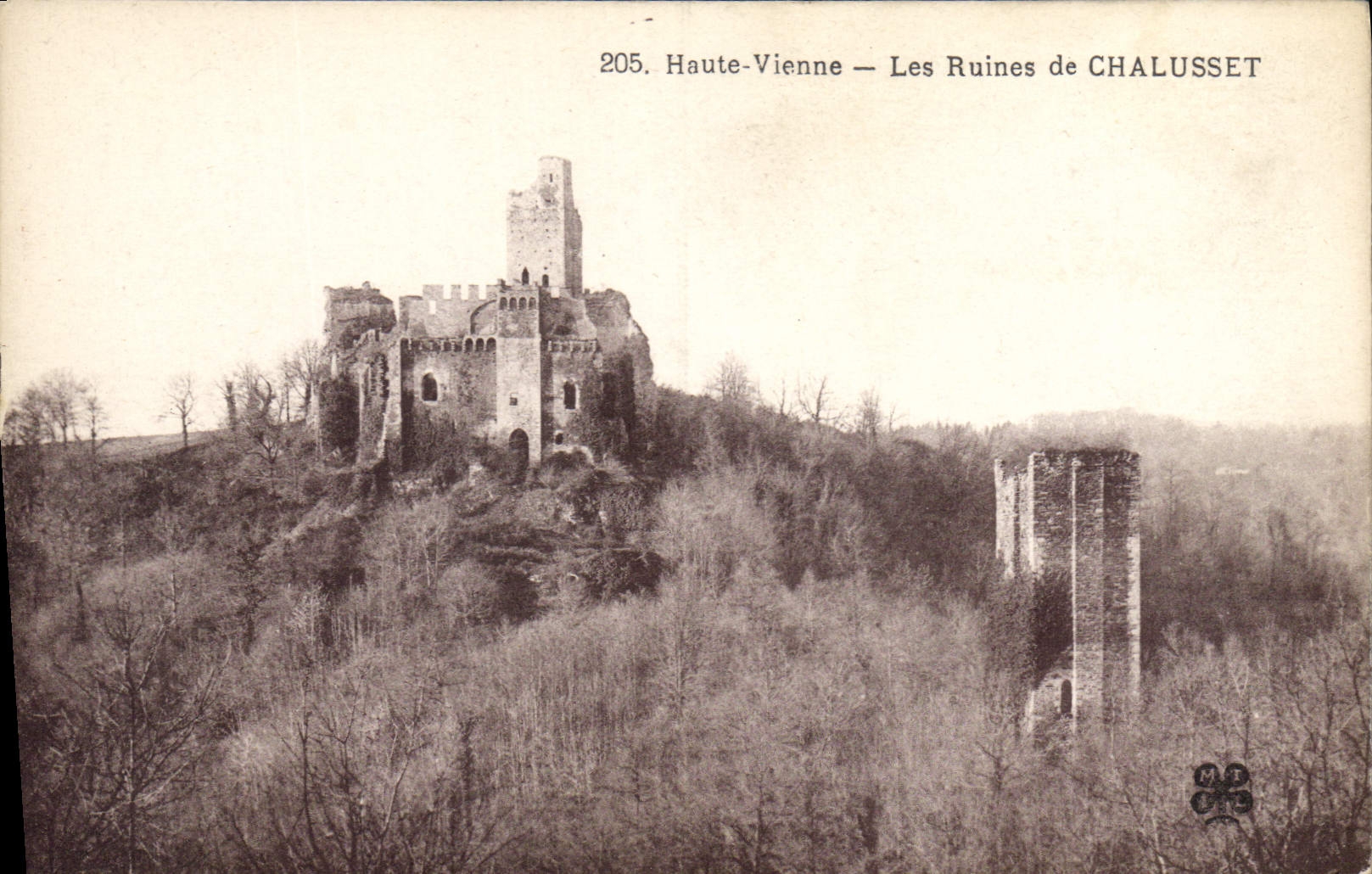 CPA Haute Vienne Les Ruines de Chalusset