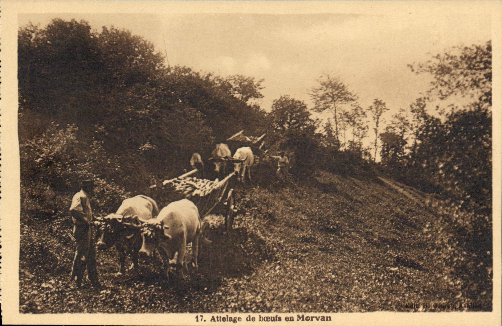CPA Attelage de boeufs au Morvan Attelage Bœufs