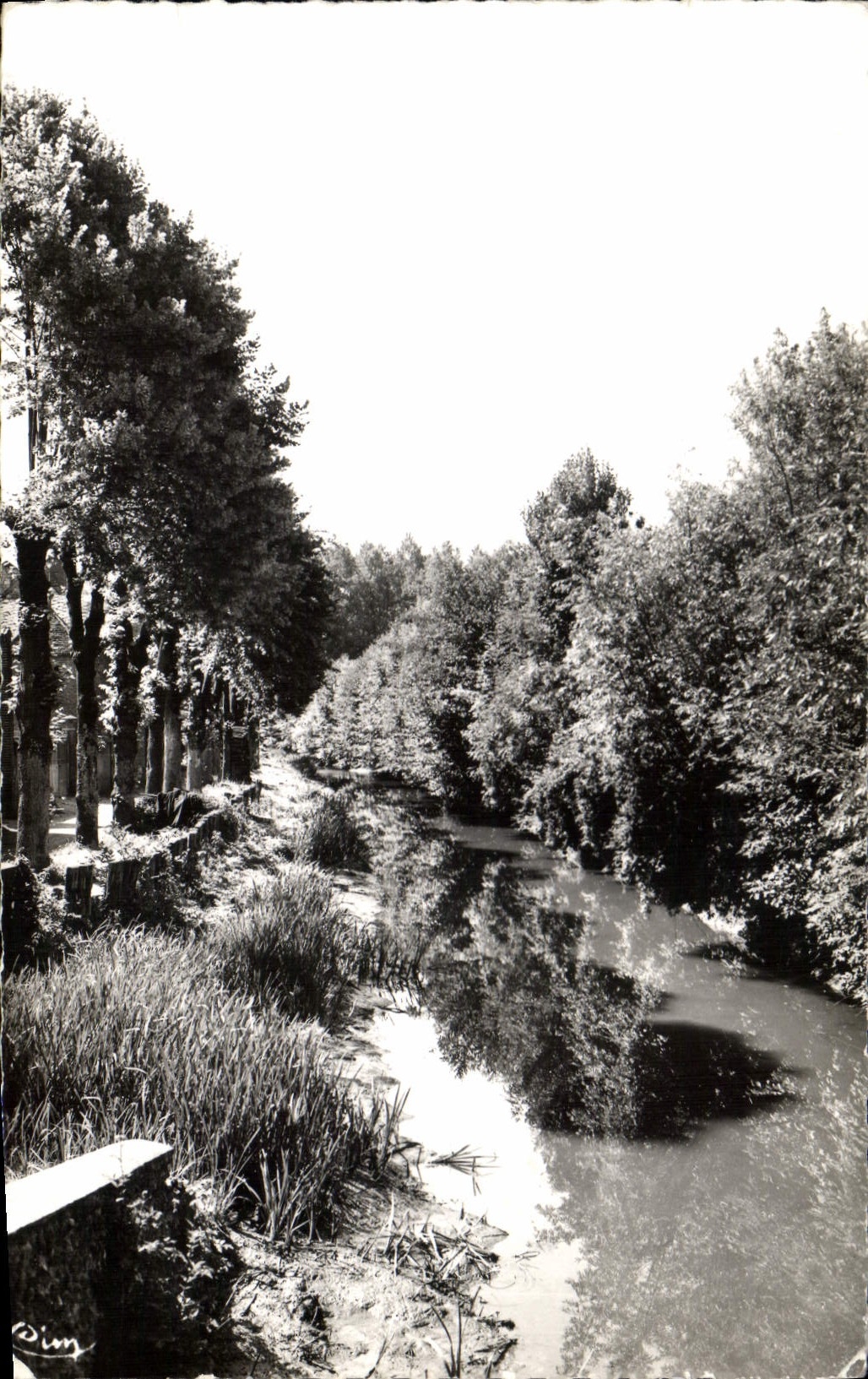 CPA Aillant sur Tholon (Yonne) Le Tholon