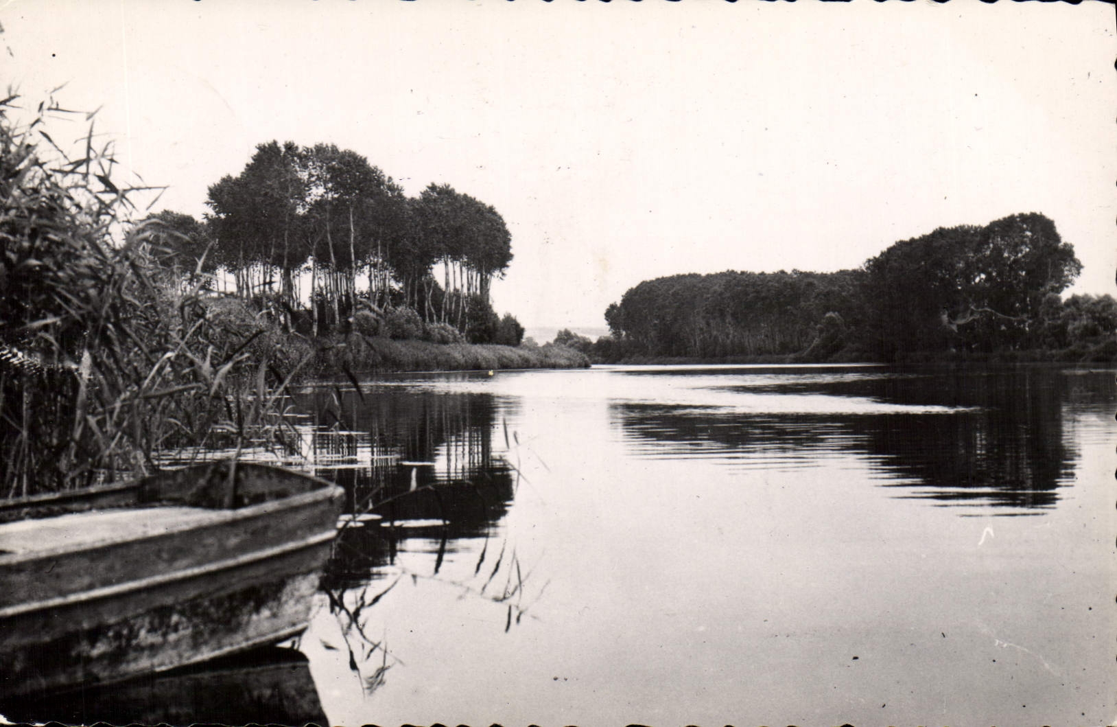 CPA Environs de Sens (Yonne) Les Bords de l'Yonne