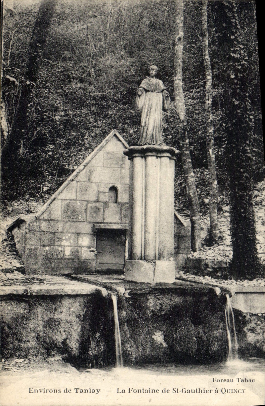 CPA Environs de Tanlay La Fontaine de St Gauthier a Quincy
