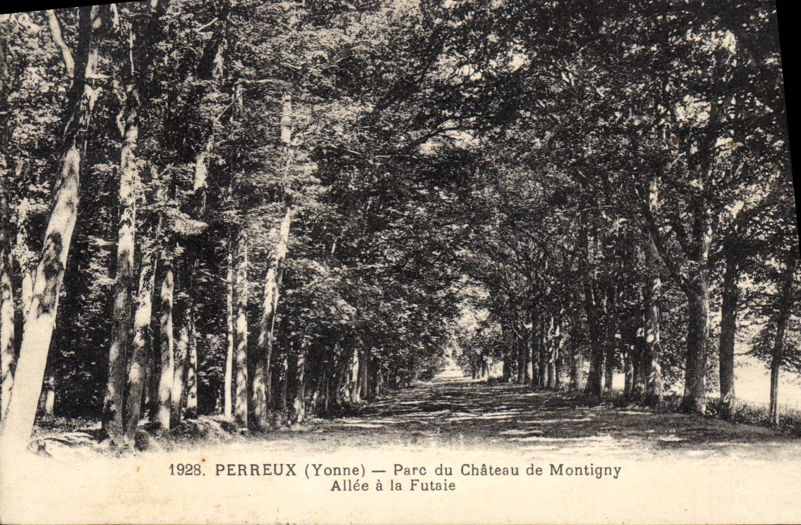 CPA Perreux (Yonne) Parc du Chateau de Montigny