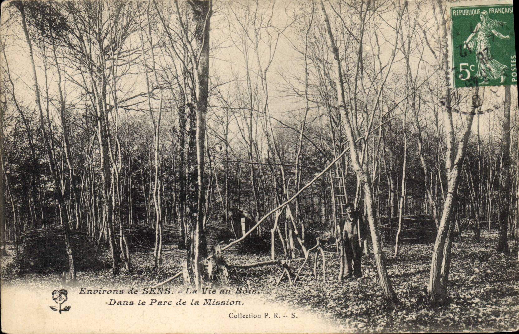 CPA Environs de Sens La Vie au Bois Dans le Parc de la Mission